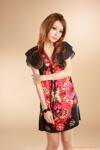 ��ӦLXD-2�� �綯���Ļ�