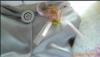 ��Ӧ�����ͨ�ŵ���(5-100�Թ��)