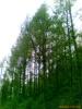 ��Ӧ�ͼۿ��һ�����࣬����,����
