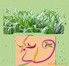 ��Ӧ�㶫տ��ҽҩ���α���ɽ�������ҽҩ���̱��α
