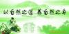 25TҺѹ��������ƽ�����ϻ�(�崲.ѹ��.���ϻ�)