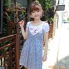 ��Ӧ��Ӧ����̼����Զ��������װ��