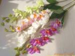 ��Ӧ����õ�� ���� �ٺ� С����ҵ �λû���