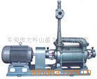 2SK-12真空泵,山东鲁纳德,专业维修真空泵,进口真空泵