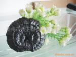 紫芝、无柄赤芝、桑黄