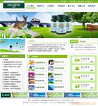 �ṩ�����̳�.B2B.B2C��վ����,רҵ��վ����