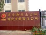 供应新疆纯棉被褥/无网机制棉胎2.0*2.3m