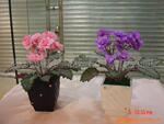 供应仿真花,仿真植物,仿真紫萝兰,家居饰品