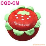 ������Ӧ���ʲ�ݮ������