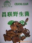 产地大量批发供应野生菌,四川食用菌,山珍,土特产,农副产品