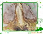 ��Ӧ�ش󵭸�ī��ɣ�ÿ��һ��࣬80Ԫ/��