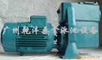 泳池铸铁泵/大型泳池水泵/全金属水泵3.0HP/380V