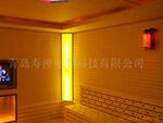 承建宁夏汗蒸房 青海省汗蒸房 新疆汗蒸房 高温瑜珈房