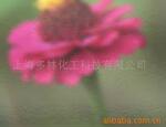 �ṩ��ӹ��ͷ��䲣��