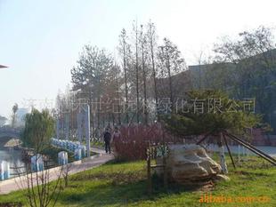 景观工程项目-供应园林景观绿化工程石横电厂