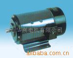 SZ系列微型直流伺服电动机
