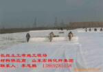 ��Ӧ��������������ɫ��˿����������˿������������