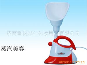 多功能蒸汽清洁机