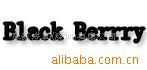 BlackBerrry�轺��Ƥ�����
