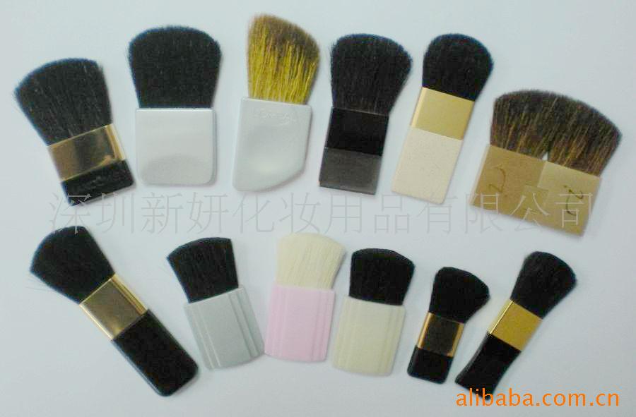 blusher brushes (1)