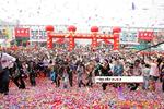 2012文博会,DS平板音响,壁画音响,文博会招商,创业