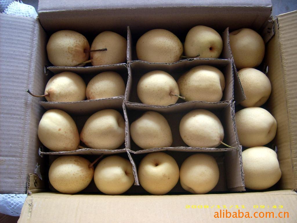 【出口一级山东阳信冷库鸭梨】价格,厂家,图片