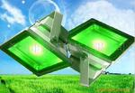 单光源LED景观灯50W