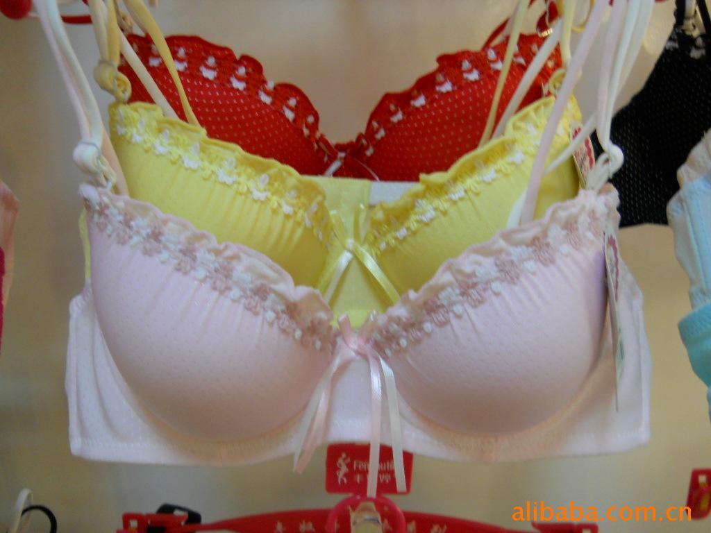 2010爆款迷你型<em>少女系列文胸</em>丰奴婷<em>品牌</em>内衣