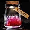 DIY��Ʒ|���˽�����|��̬���ǲ�������Ը����|����ˮ��ƿ[Z102]