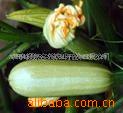 �����ϸ�Ȫ����ũҵ����Ӧ�����޹�������«