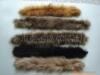 ����ë��(ͼ)