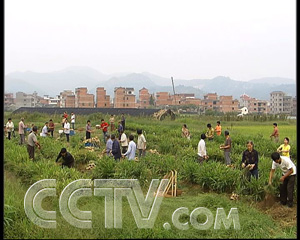 �������������� ÿ�괴�������� ũҵ�¸��� ���� CCTV7�¸��� �߲� 