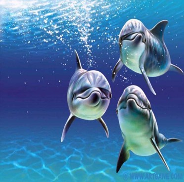�������ء�˯��Ӿ�ˡ� ũҵ������ �������� 