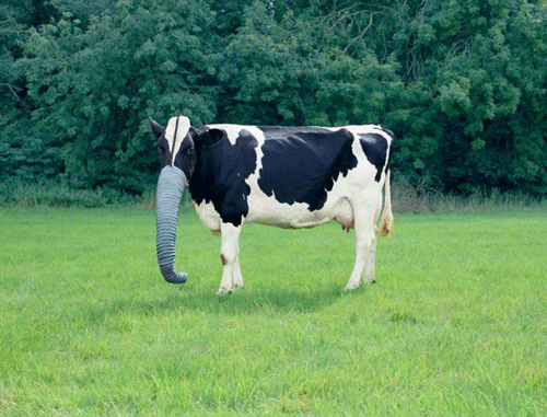 ��ߴ������Ĭ�еĶ����� ũҵ������ ��Ȥ���� 
