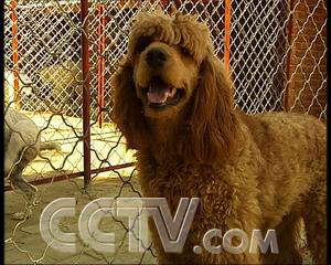 �¸��� ����Ȯ����ƵĴ�ׯ ũ��ҵ �¸��� ��ҵ���� ��ҵ 