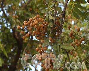 �¸��������������ۺ�׬Ǯ ũ��ҵ �¸��� ��ҵ���� ��ҵ 