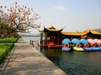 Zhejiang profile