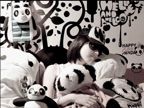 ��èŮ�����״�����panda
