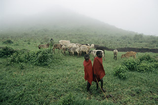 Northeastern Africa Scenery Northeastern Africa ranking fortune 