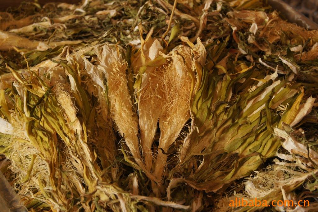 供应青剑花 霸王花 味道香 肇庆名产 煲汤最爱