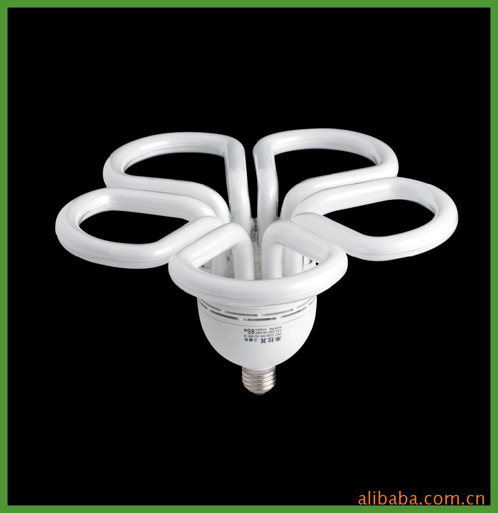 高档,环保,t5节能灯,双支带罩