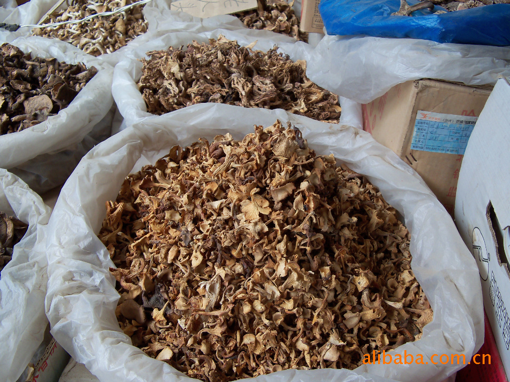 批发熬汤(煲汤味调料)干品 黄杂菌(75元)