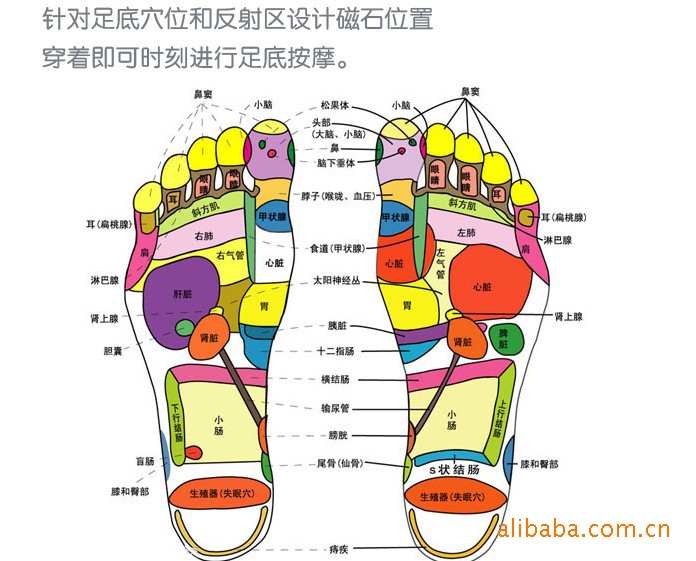 批发硅胶磁疗磁石保健按摩磁性除臭鞋垫男女款8颗磁石
