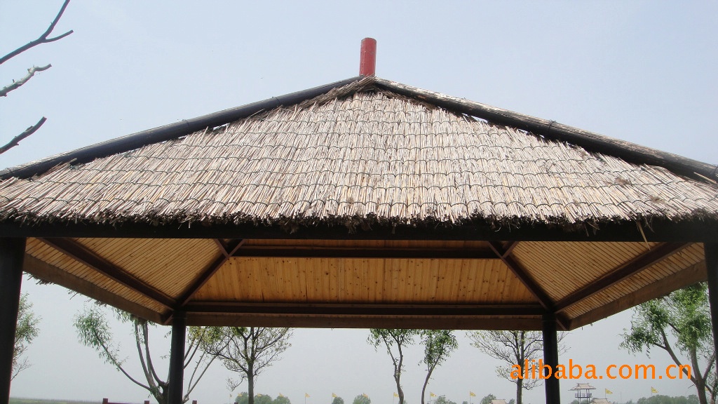 规则芦苇制品!欢迎采购