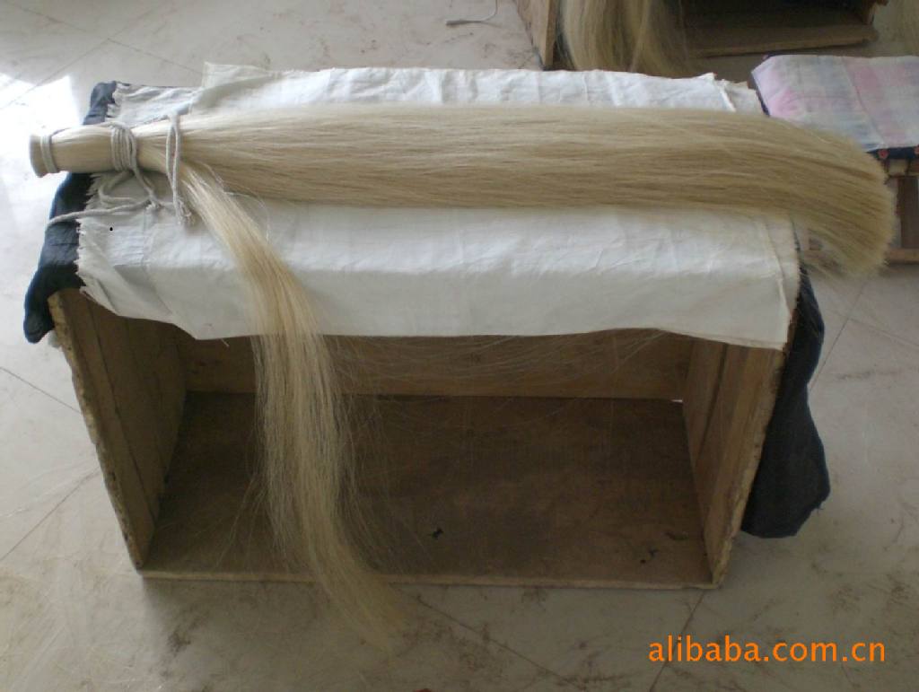 本公司供应用于制作鸟套的优质黑色马尾毛.