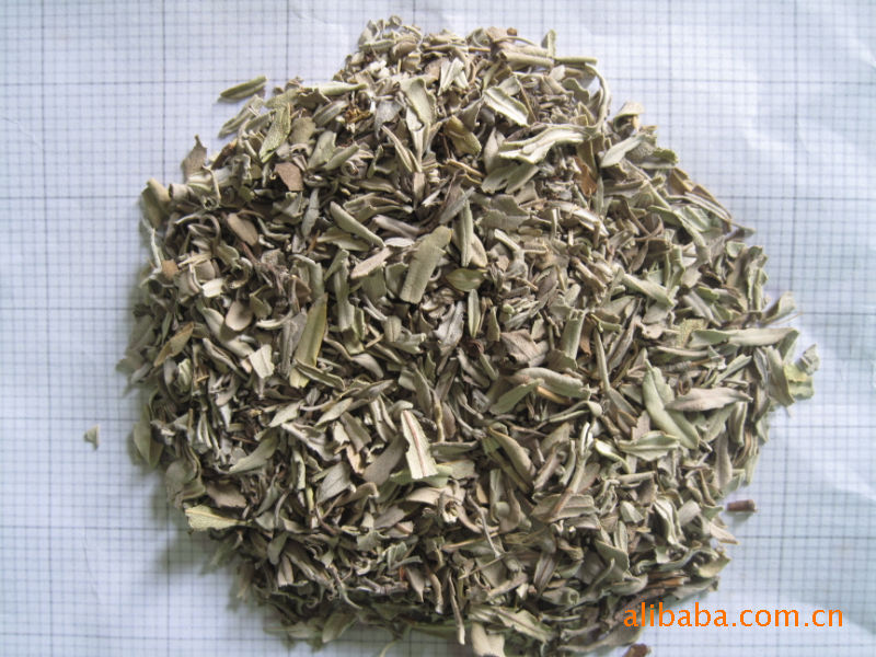 供应莳萝叶,莳萝片/莳萝粉/莳萝碎