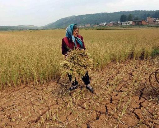 聚集云南干旱重灾区,受灾人口321.