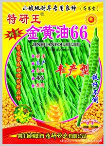 复合肥市场活力与未来发展动向