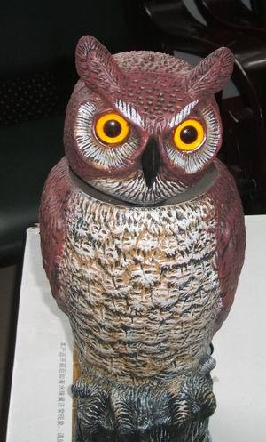 园林吓鸟用品 塑料摇头猫头鹰