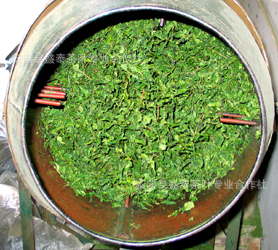 盛泰茶叶专业合作社供应厂家直销特级安溪铁观音 新茶 茶叶